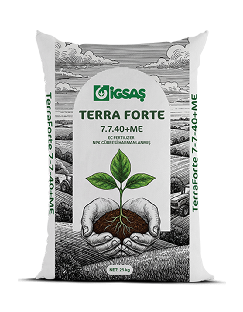 Terra Forte 7.7.40+ME